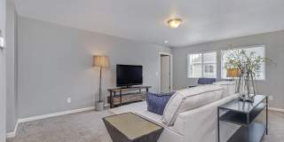 1847 Bluff Ridge Court Gallery 11