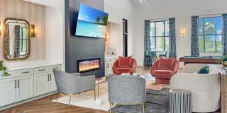 Waterleaf at Salt Creek Gallery 20