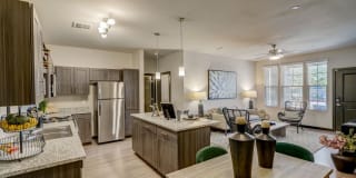 Springs at Eastmark Gallery 2