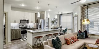 Domain Town Center Gallery 2