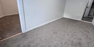 20 Sycamore Street 20 Sycamore Street Gallery 15