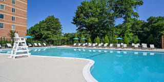 Potomac Towers Gallery 11