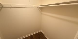 Graduate and Professional Gallery 167