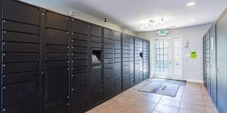 865 Bellevue Gallery 22