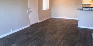 Garden View Gallery 25