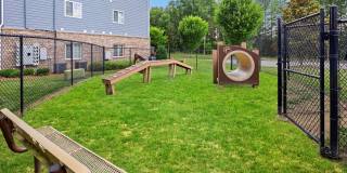 Conrad at Concord Mills Gallery 4