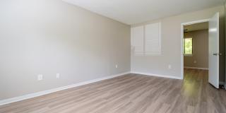 Rosen at North Hills Gallery 16