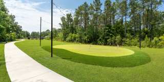 Hawthorne at Pine Forest Gallery 26