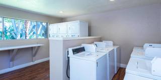 Elán Avante Apartment Homes Gallery 19