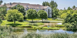 Autumn Grove Autumn Grove Gallery 1