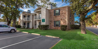 Timber at the Bay Gallery 30