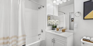 Sofi Lyndhurst Gallery 8