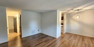 Black Mountain Rental! Gallery 3