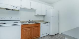 Rise Camelback Gallery 28