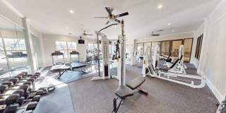 The Village at Stetson Square Gallery 15