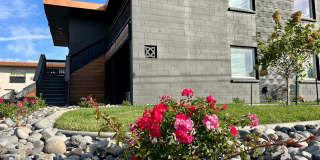 Kamden Place Gallery 18