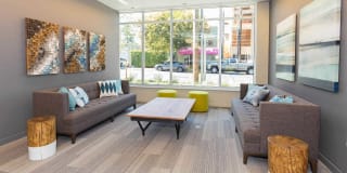 Springline Gallery 5