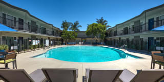 Citrus Gardens Gallery 17