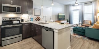 Salado at Red Berry Gallery 4