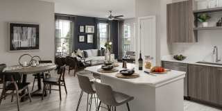 Aventon Soraya Gallery 4