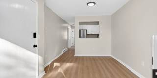 13 Sligo Street - 1 Gallery 2