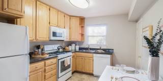 Metropolitan Collingswood Gallery 45