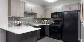 Amara Spring Valley Apartments Gallery 7