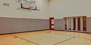 Stoneleigh at the Reserve Gallery 15