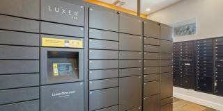 Sonoran Reserve Gallery 13