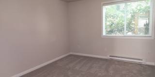 10014 NE 127th Pl Gallery 13