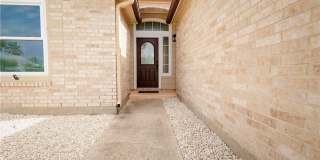 13702 Seahorse Gallery 3