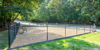 Wexford Village Gallery 40