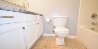 COMING SOON!! 4 Bedroom and 2 Bath Home (Pets Considered) Gallery 15
