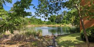 Turtle Lake Gallery 55