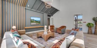 Maple Gallery 16