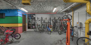 Windsor South Lamar Gallery 32