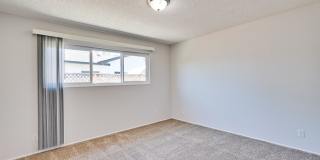 6063 Pineland Avenue Gallery 34