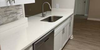 Palms of Clearwater Gallery 63