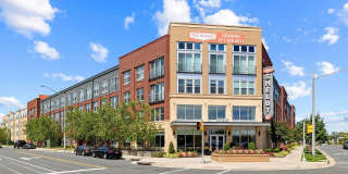 The Shelby - Alexandria Gallery 1