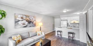 University Oaks Gallery 10