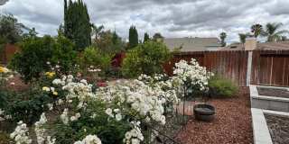 Spacious & Stylish Living in the Heart of Lake Elsinore Spacious & Stylish Living in the Heart of Lake Elsinore Gallery 39