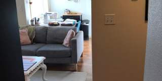 21 Orange Gallery 66