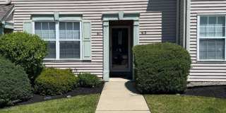 63 FOXGLOVE Gallery 1