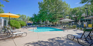 Treehouse Apartments Gallery 35