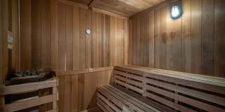 Town Treeline Gallery 6