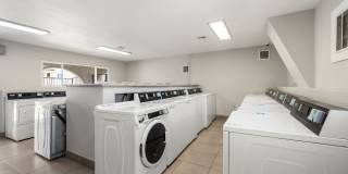 Asher on Valley View Gallery 18