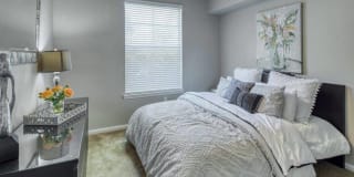 RiverTree Gallery 18