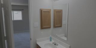3935 ANGEL TRUMPET Gallery 20