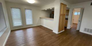 Penthouse Gallery 12