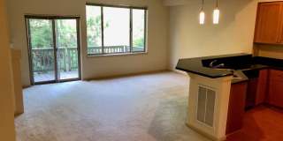 3 Bedroom 2.5 Bath Issaquah Townhouse 3 Bedroom 2.5 Bath Issaquah Townhouse Gallery 4